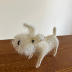 羊毛フェルト犬 ミニチュアシュナウザー 白シュナ ハンドメイド置物 3枚目の画像