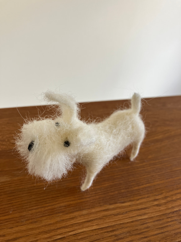 羊毛フェルト犬 ミニチュアシュナウザー 白シュナ ハンドメイド置物 2枚目の画像
