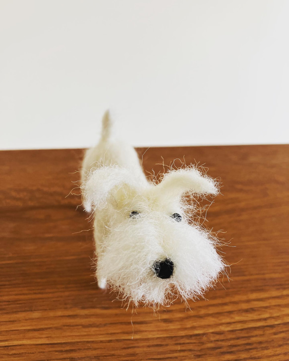 羊毛フェルト犬 ミニチュアシュナウザー 白シュナ ハンドメイド置物 5枚目の画像