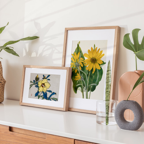 日本画 額装 ハイビスカス 湘丘作 日本画 額装 ハイビスカス 湘丘作