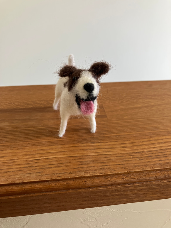 羊毛フェルト犬 ジャックラッセルテリア ハンドメイド犬置物 7枚目の画像