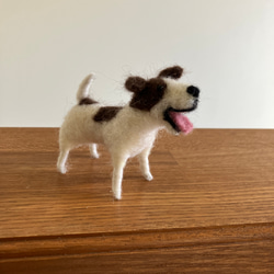 羊毛フェルト犬 ジャックラッセルテリア ハンドメイド犬置物 8枚目の画像