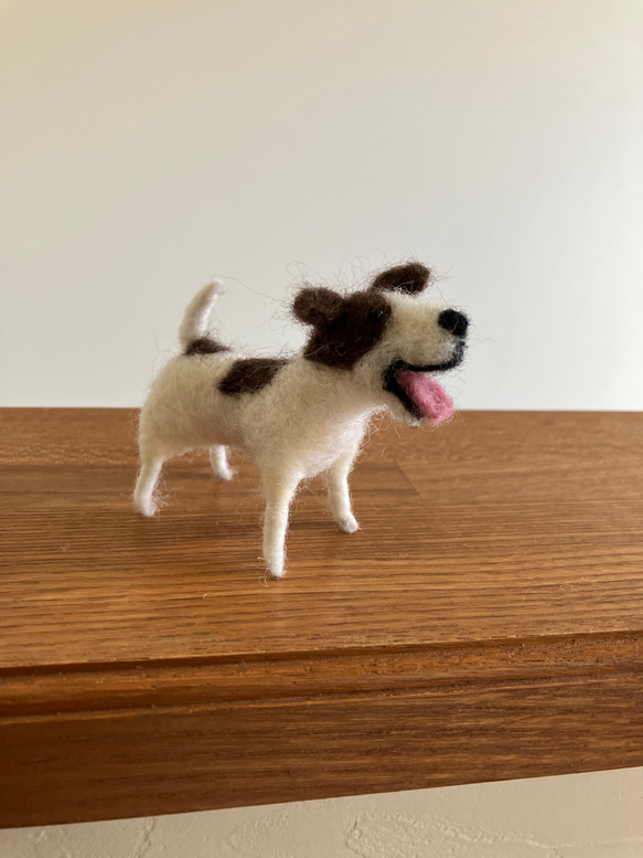 羊毛フェルト犬 ジャックラッセルテリア ハンドメイド犬置物 8枚目の画像