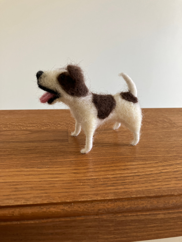 羊毛フェルト犬 ジャックラッセルテリア ハンドメイド犬置物 6枚目の画像