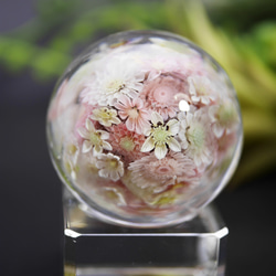 "再販"『flower garden pink ミニマーブル-ガラス台座付』ガラス ガラスの花 　　 1枚目の画像