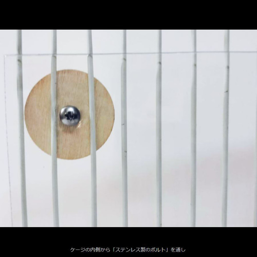 もふもふ様オーダーページ もふもふ様専用オーダーページ•*¨*•.¸¸♬