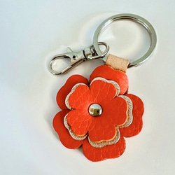 a6d12a600ffefcac4458e31469b151