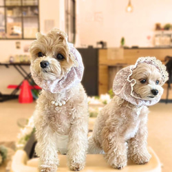 カートクッション 犬用クッション 犬グッツ ペットグッツ クッション