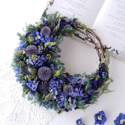 アナベルのドライフラワーリース ドライフラワー 瑠花 通販 16476640