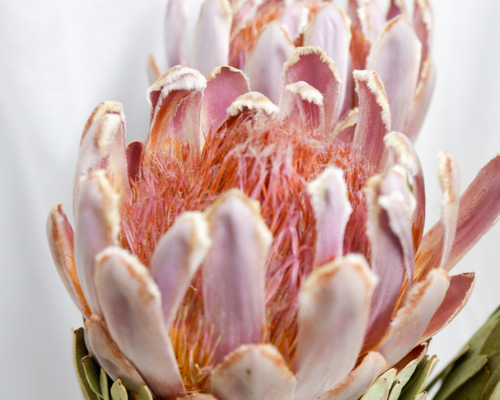 1014c56566de962a856716c696ead0