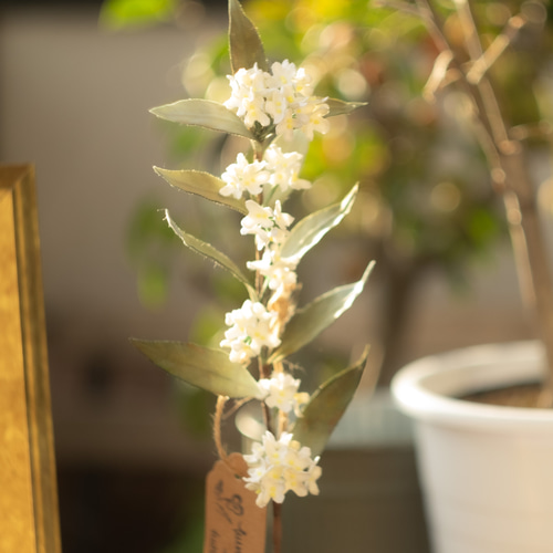 秋を飾る 布花 銀木犀 一枝 アートフラワー くるみのこにわ 通販 秋を飾る 布花 銀木犀 一枝 アートフラワー くるみのこにわ 通販