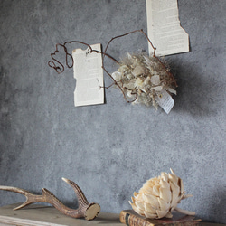 wreath [mazurka]№１２　　 「マズルカ」キウイツルとかすみ草のリース№１２　　　 ルナリア 3枚目の画像
