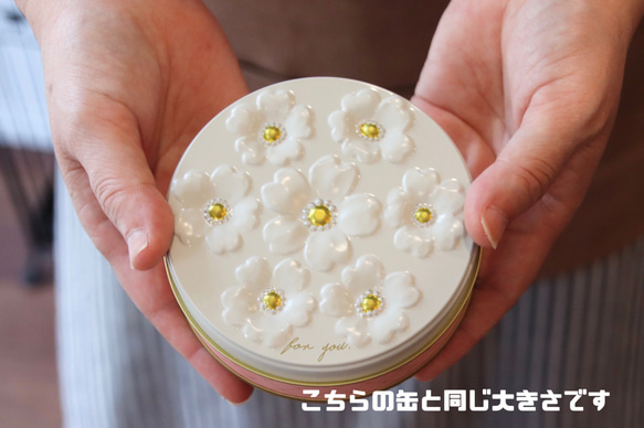【クール便発送】ベイクドチーズケーキ(星の王子さま缶) 4枚目の画像