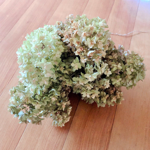 6.秋色紫陽花スワッグ 秋色紫陽花のシーリングスワッグ｜Fla-co（フラコ） - フラワー