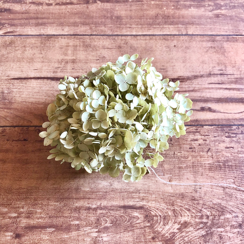 秋色紫陽花のフラワーボール☆フライングボール☆ドライフラワーボール 予約販売】スモークツリー 紫陽花 フラワーボール 3玉セット