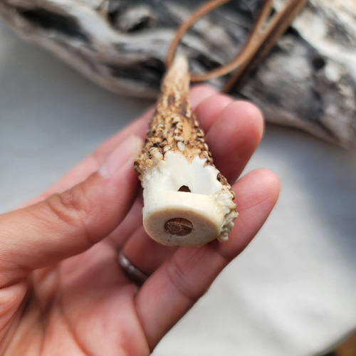 鹿の角 1本角の角笛ペンダント ネックレス・ペンダント 鹿角工房