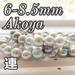 6-8.5mm ミックスローゼ連 ナチュラルカラー アコヤ真珠 ルース ウリカ urica 2306P0607-02 1枚目の画像
