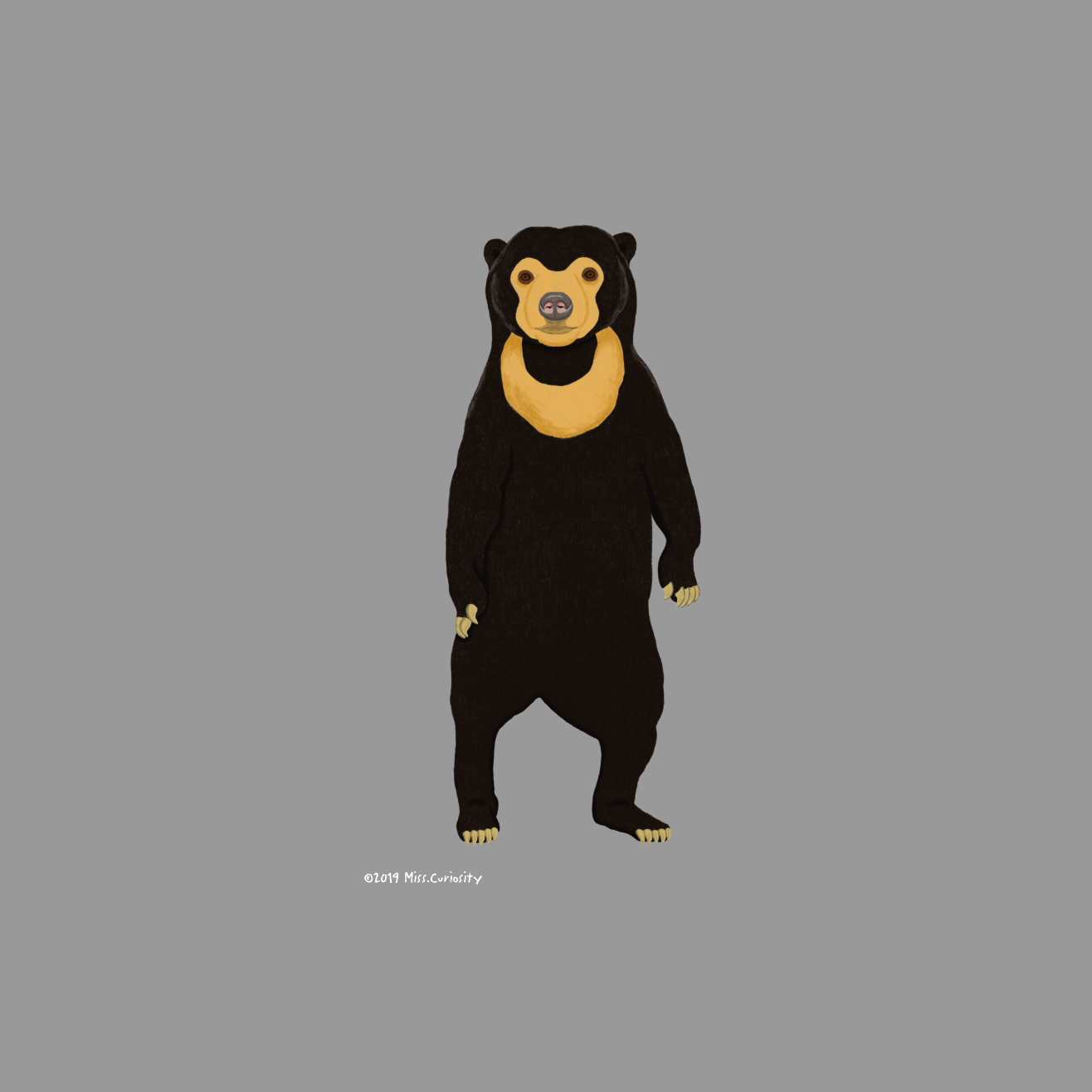 長袖Tシャツ　マレーグマ