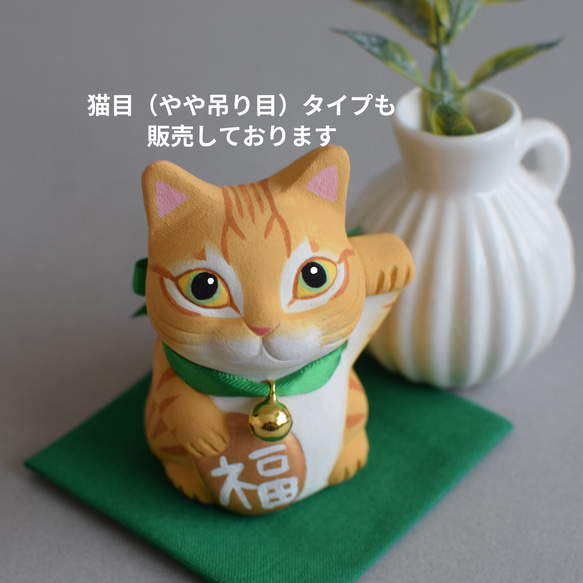 招き猫(左手・茶トラ・丸目)【受注制作】ご注文前には必ずメッセージで納期をお確かめください 3枚目の画像