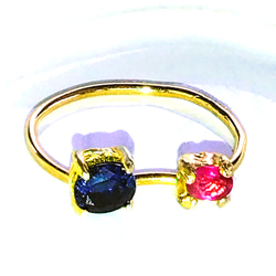 - 2023 Sapphire & Ruby Ring 1枚目の画像