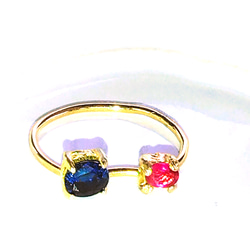 - 2023 Sapphire & Ruby Ring 2枚目の画像