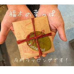 世界で最も高価な木、沖縄の琉球黒檀で作った一点物の帯留！【送料無料】 5枚目の画像