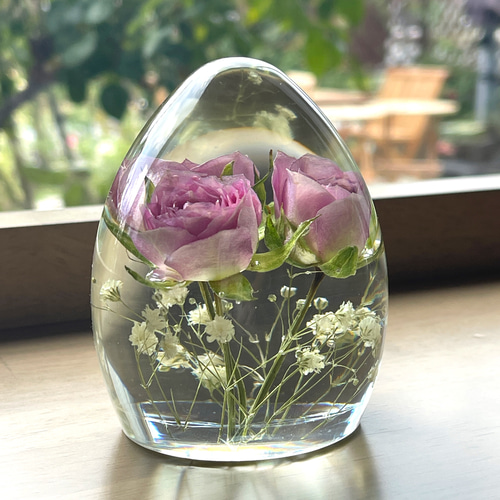 本物の薔薇アリシアとかすみ草/インテリア小物/薔薇/花/固まるハー  