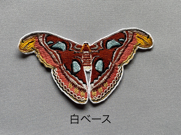 【ワッペン】Moth（蛾）シリーズ　ヨナグニサン 1枚目の画像