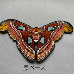 【ワッペン】Moth（蛾）シリーズ　ヨナグニサン 2枚目の画像