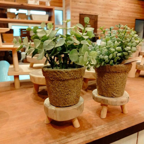 切り株テーブル ハンドメイド Amazon.co.jp: Pacific Giftware 魅惑の庭の木の切り株テーブル