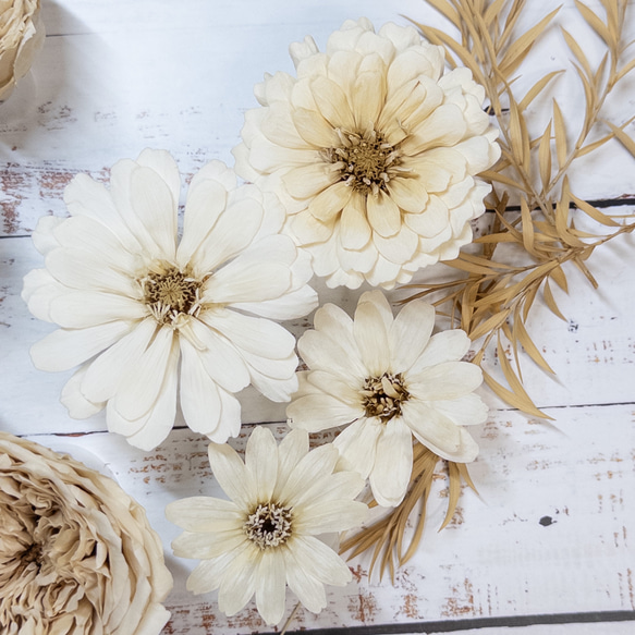 [送料無料]プリザの花箱✿Antique White 花材セット 詰め合わせ プリザーブドフラワー ドライフラワー 4枚目の画像