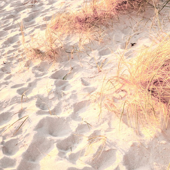 華麗的海灘沙灘日出/室內海報外國藝術/5182 第6張的照片