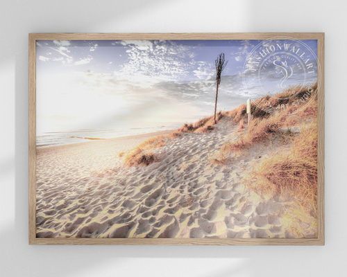 新品】アートフォト A4白フチ 海 ビーチ 風景 夕焼け サンセット