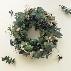 1点限り ユーカリのリース ドライフラワー ナチュラル 約22㎝ 誕生日