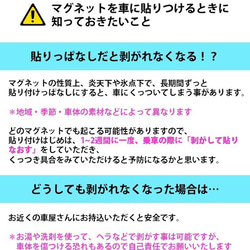 ドライブレコーダー搭載ステッカー「チンチラとカメラ」 (マグネット) 5枚目の画像