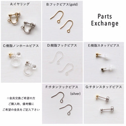 天然石：stone earring 4枚目の画像