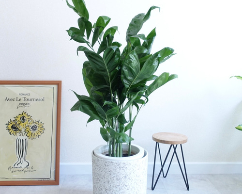 a79f7fb1d2a45171da7674b80f3350