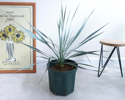 c5d70aa13268c52851e2691c89cff2