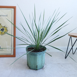 470338d4ae7424ebbacba6d689c027