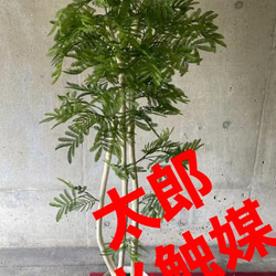 光触媒　人工観葉植物　ウォールグリーン　フェイク　フラワー　マッサンＭ　幸福の木