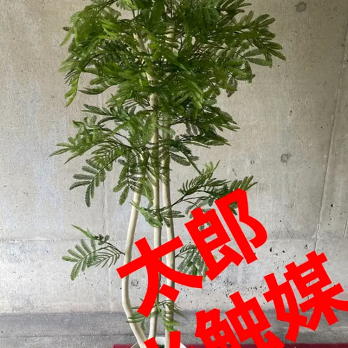 光触媒 人工観葉植物 ウォールグリーン フェイクグリーン