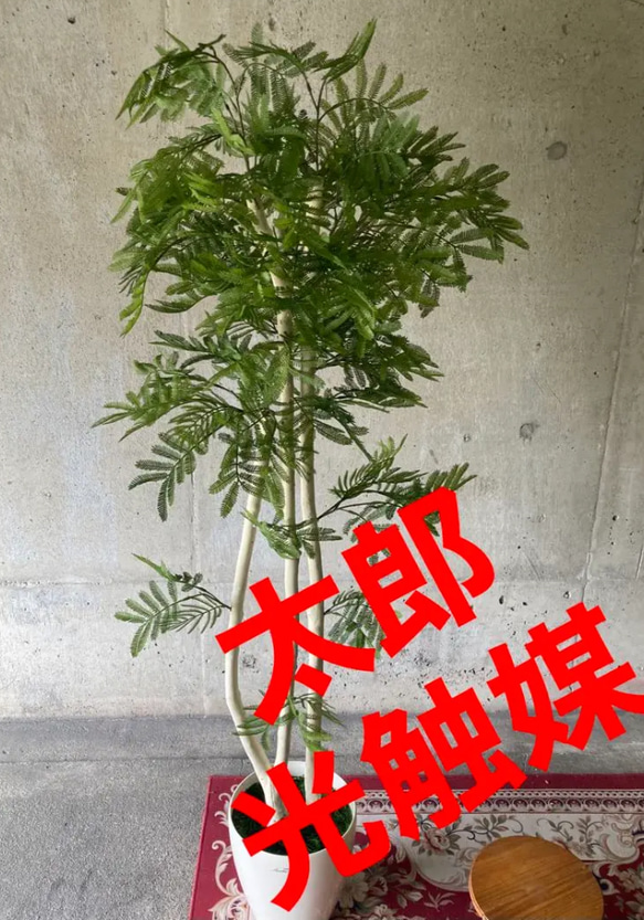 光触媒　人工観葉植物　ウォールグリーン　フェイクグリーン　ポトス1.0
