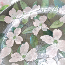 ＜creema限定＞浅盛り鉢　花水木（ハナミズキ） 3枚目の画像