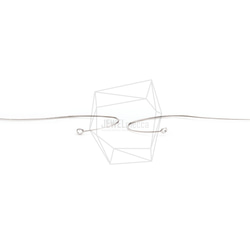 ERG-2467-R【2個入り】カーブプレートフック,Curved Plate Hook Earring 1枚目の画像