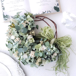 ♡ドライフラワー♡スモークツリーと秋色紫陽花のナチュラルリース♡ 紫陽花とスモークツリーのリース ドライフラワー リース 瑠花