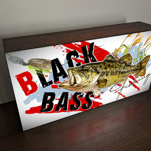 Lサイズ】ブラックバス ルアーフィッシング 釣り 釣具店