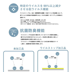  第6張的照片