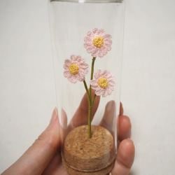 淡いピンクデイジーのガラスボトルフラワー 2枚目の画像