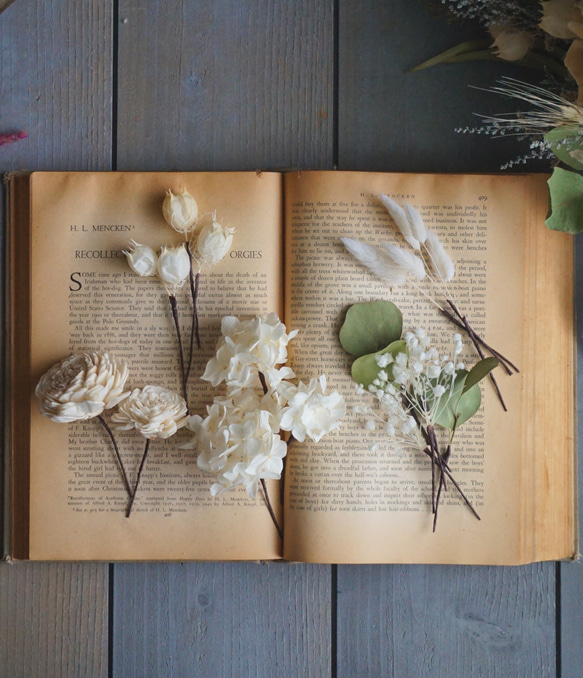 アネモネとたっぷりシルバーリーフのブーケ 