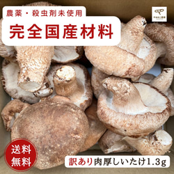 訳あり　頑張って成長したが形が悪い徳島県産肉厚歯応えの良い椎茸さん1キロ送料込み 1枚目の画像